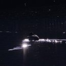 은파 티스토리