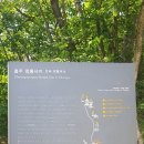 ***사찰순례 84.충주 청계산 청룡사지 이미지