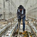 용남농장 이미지