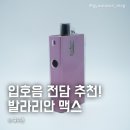 내돈내산 유웰 발라리안 맥스 전자담배 추천 리뷰