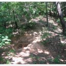 모곡초등학교 이미지