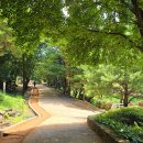 미동산수목원 Daum카페