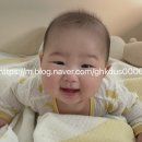 곡성-174 이미지