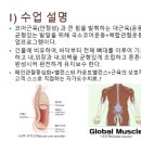랩스 휘트니스 죽전점 이미지
