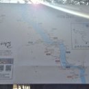 수목원박제 | [경기 여주] 힐링의장소 남한강 출렁다리, 황학산 수목원&박물관 체험후기