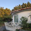 실개천펜션 | 제주 서귀포 숙소 표선 독채 유럽 감성 펜션 발트하우스 후기