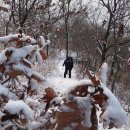 고인돌탐방길 이미지