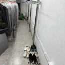 해피명품세탁 이미지