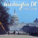 디씨(DC) | 뉴욕 워싱턴 DC 당일치기 가는 법, 투어와 기차 중 추천은?