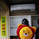 풍선다트 사격장 이미지