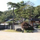 로얄카바나 이미지