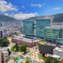 동아대학교 이미지