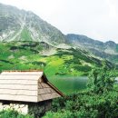 새힘주유소 이미지