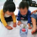 개미문구