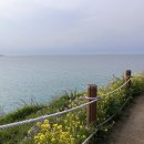 제주도 가족 스냅사진 업체 추천: 젠타일스 스튜디오 - 함덕해수욕장, 서우봉