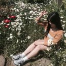 선흘하우스 이미지