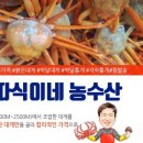 따식이네 Daum카페