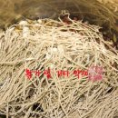 진고려삼계탕 이미지