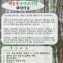 한국체대 백궁 태권도장 이미지