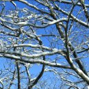 세상목장 이미지