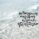 글씨여행 캘리그라피 이미지