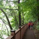 식장산 숲길 이미지