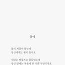 봄애