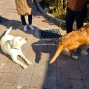 단산농원 이미지