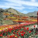 송영신목장 | 안성팜랜드, 주중 vs 주말 제대로 즐기는법, 꿀팁 후기