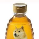일하는개미