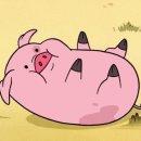 그레이짐 부평점 이미지