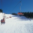 휘닉스파크 이미지