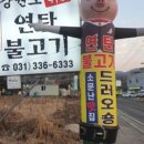 강원도위가연탄불고기