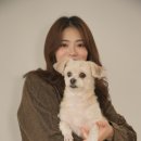 퓨어무드스튜디오