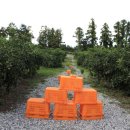 스러움 농장 이미지