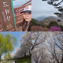 원정6리마을회관 | 강화도 고려산 이틀연속 산행 청련사 2코스 목동 안양천 벚꽃구경까지 알찬하루♡