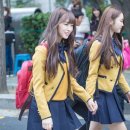 아린 이미지