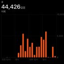 유로애견샵 | [겨울독일여행] #2일차 | 프랑크푸르트 | 낭만 프푸 즐기기! with 4만보