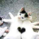 사람과나무 이미지