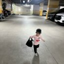 코스 나일론 히치 마이크로 토트백 후기 👜