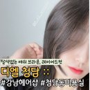 컷, 탈색없이 애쉬브라운 잘하는 청담동 미용실, 주차 가능한 강남 헤어샵 &#34;디엘 청담&#34; 연주 디자이너 후기