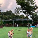 양주세차장 이미지