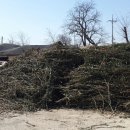 월호농장 이미지