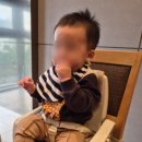 명가일식 | 원주 혁신도시 일식집 바다회명가 해원 소규모 식당 돌잔치 식사 후기와 아쉬웠던점