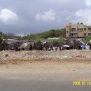 마리나비치 이미지