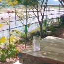 인제백담사십이선녀펜션 이미지