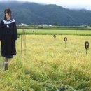 허수아비 이미지