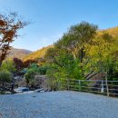 도화지 2 이미지