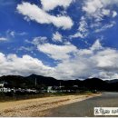 맑고고운숲 - 정선군 의림로 118 | 맑고고운숲