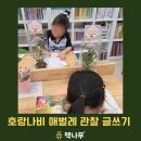 용호초등학교 | [책나무 반림용호점] "글쓰기가 싫어요"하던 아이가...호랑나비 애벌레와 함께한 초등 글쓰기 시간